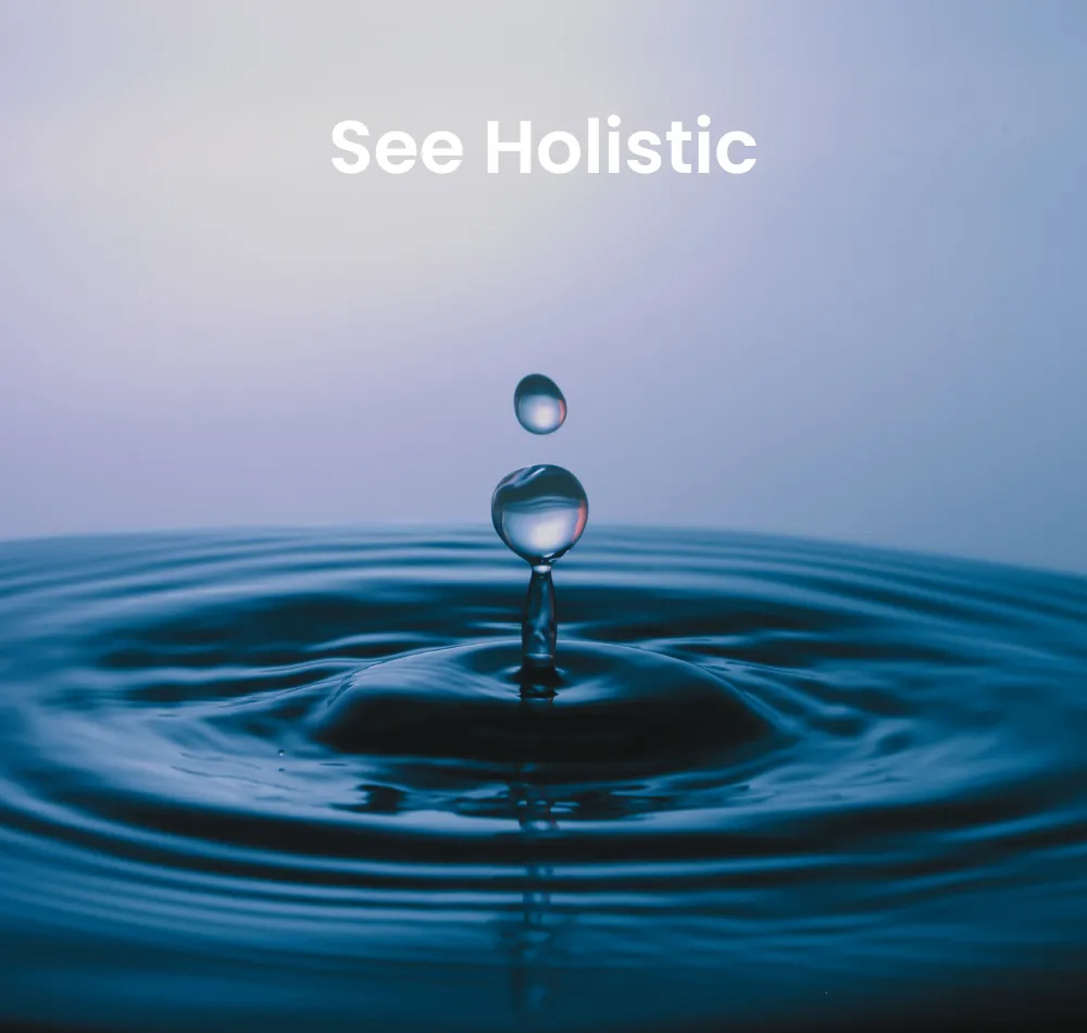 See Holistic